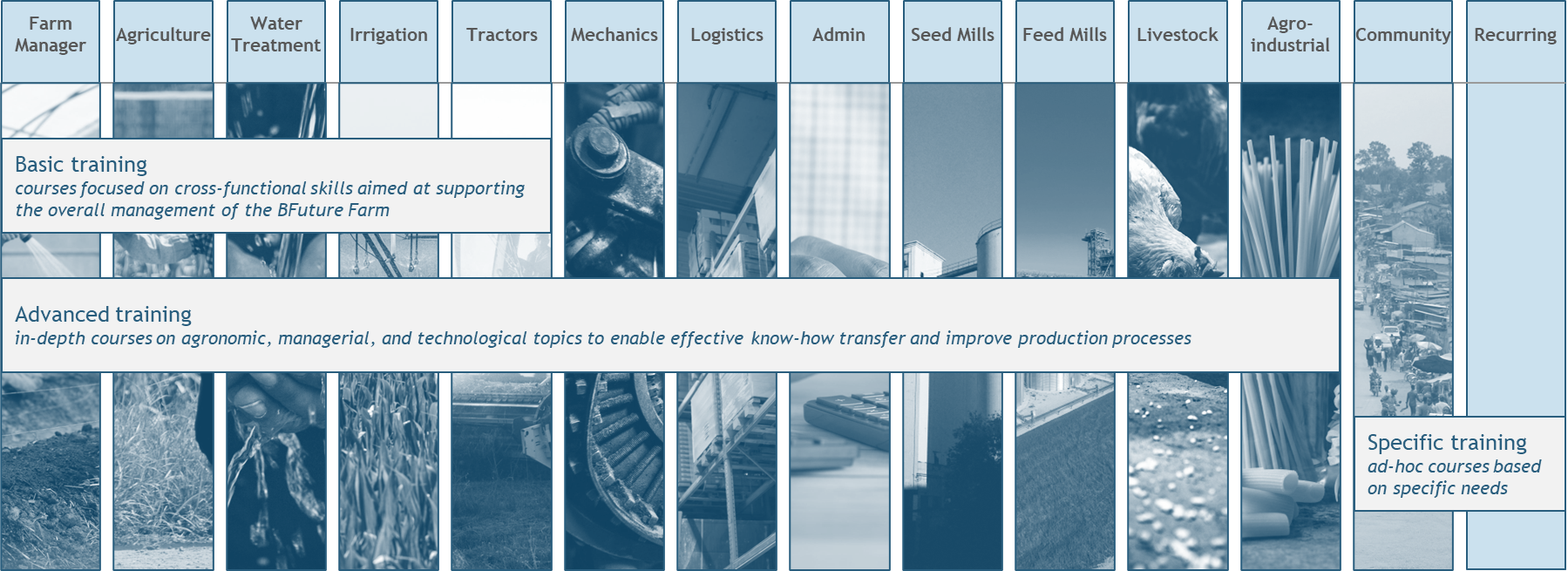 BFI Education Platform